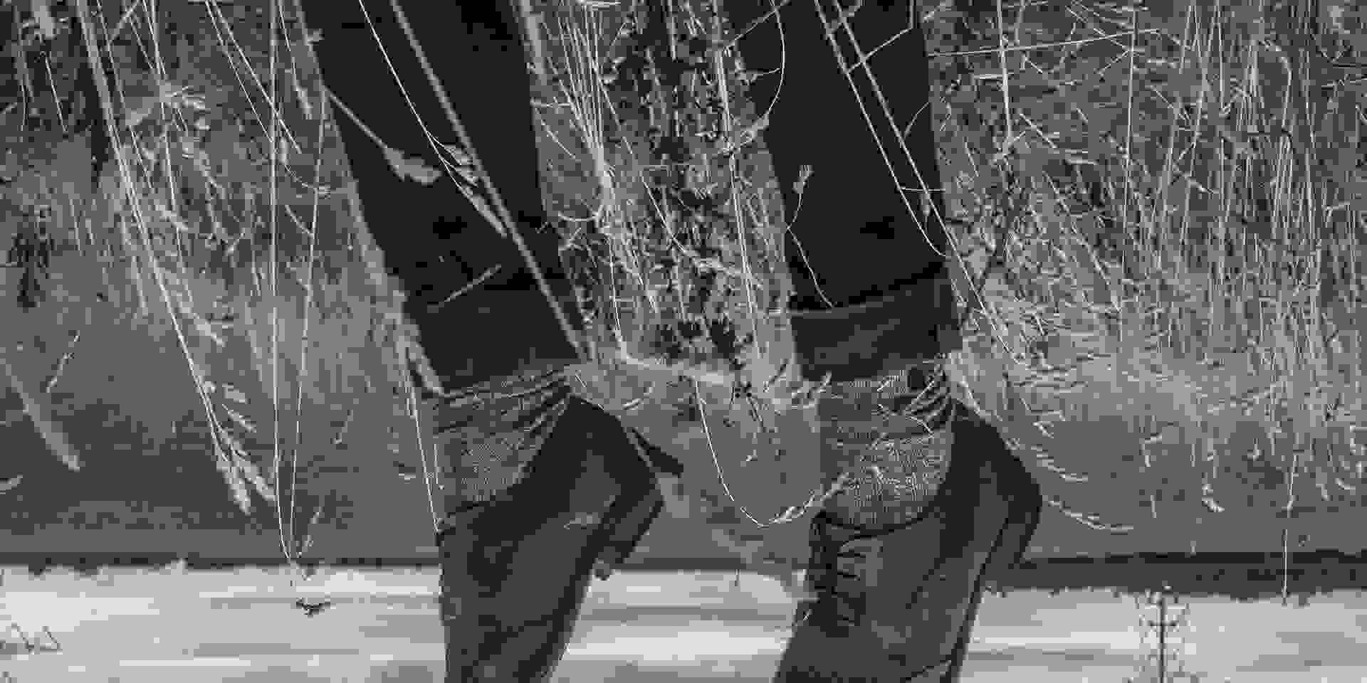 Legs from the grass, upside down